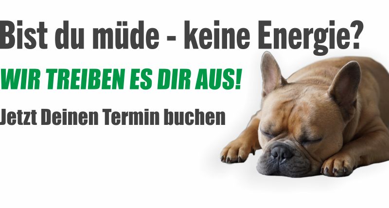 bfit energie3